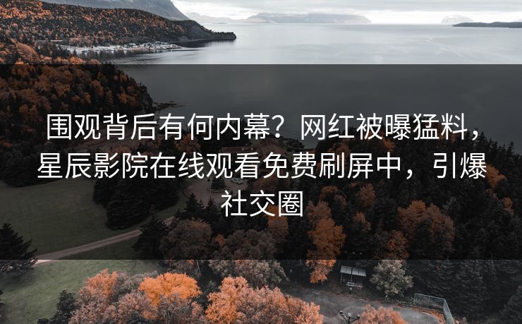 围观背后有何内幕？网红被曝猛料，星辰影院在线观看免费刷屏中，引爆社交圈